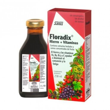 Floradix 250 ml Salus